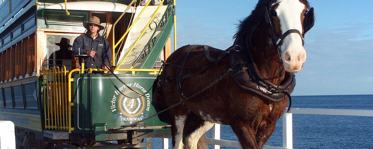1200px-20040610_Victor_Harbor_Tramway