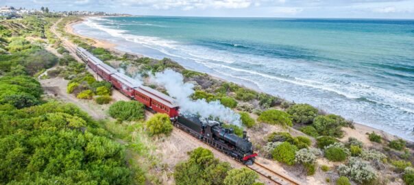 52803055389_3eb655294d_4k-scaled