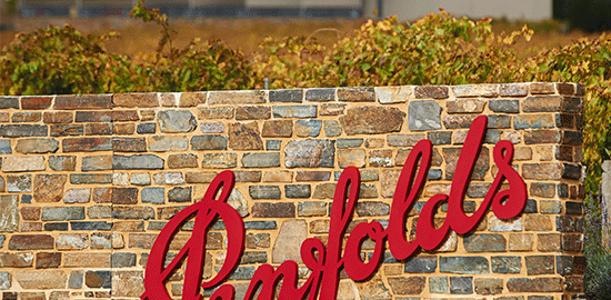 550x450-Discover-Magill-Estate-Cellar-Door