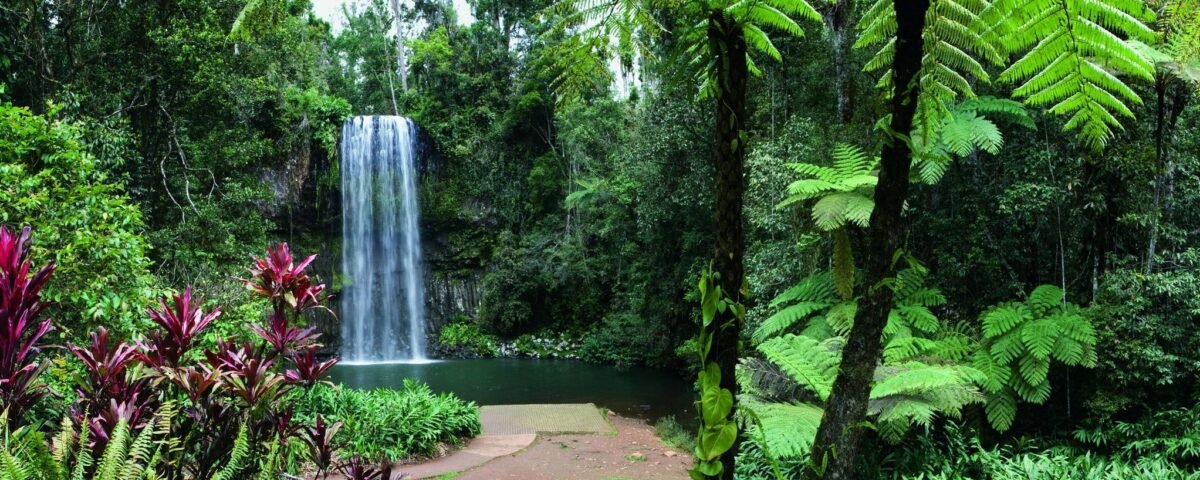 Millaa-Millaa-Falls2