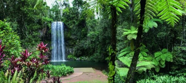 Millaa-Millaa-Falls2