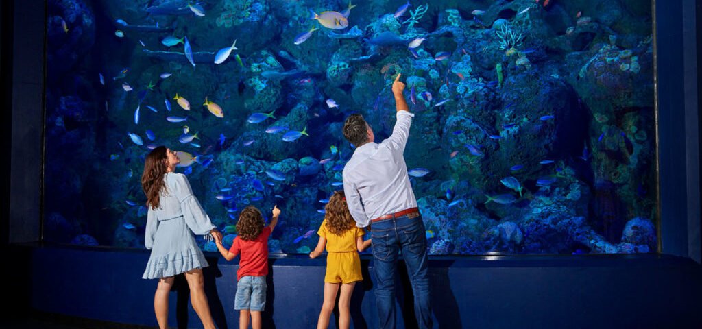 family-at-cairns-aquarium-1024x585