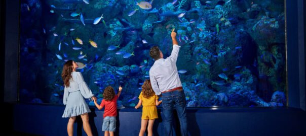 family-at-cairns-aquarium-1024x585